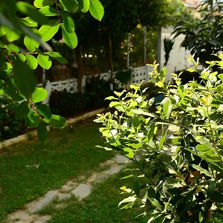 Hotell Pinar